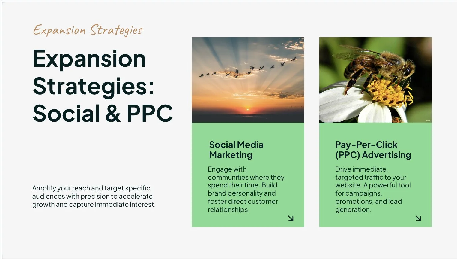 MagicSlides template slide